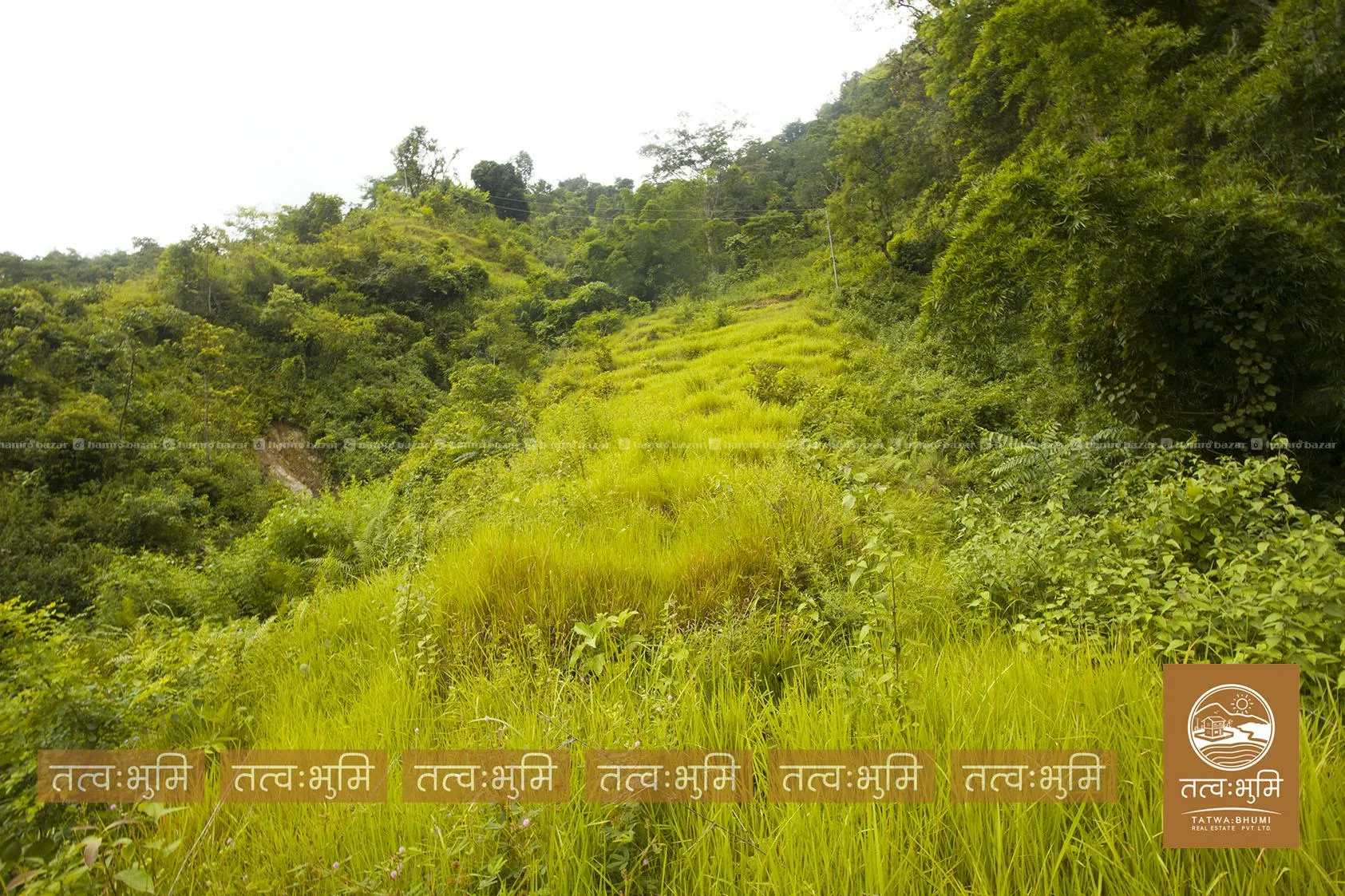 36 Ropani land for sale in Dotel Beshi- Nuwakot. 2