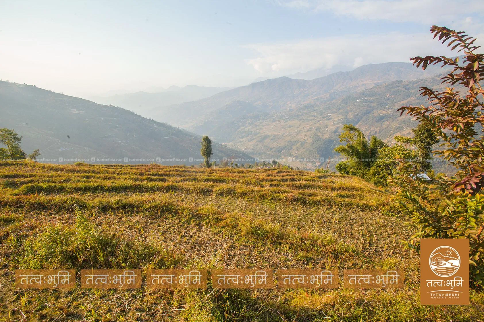 7 Ropani land for sale in Kamaregaun - Nuwakot. 3