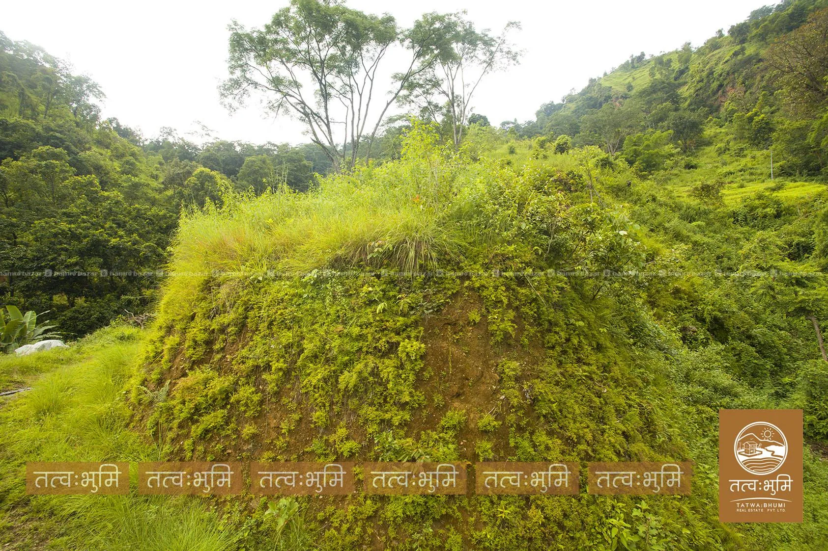 36 Ropani land for sale in Dotel Beshi- Nuwakot. 4