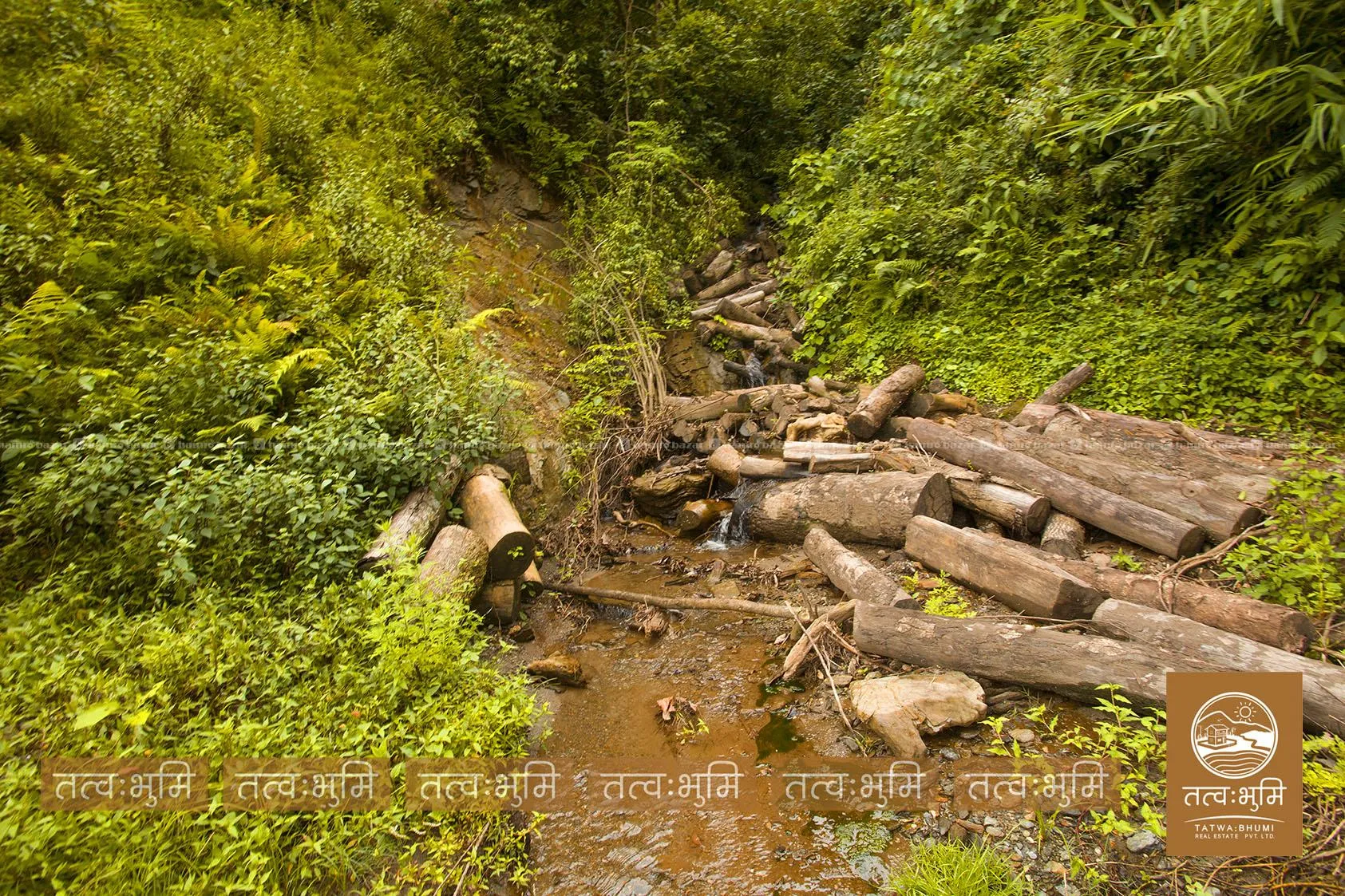 36 Ropani land for sale in Dotel Beshi- Nuwakot. 6