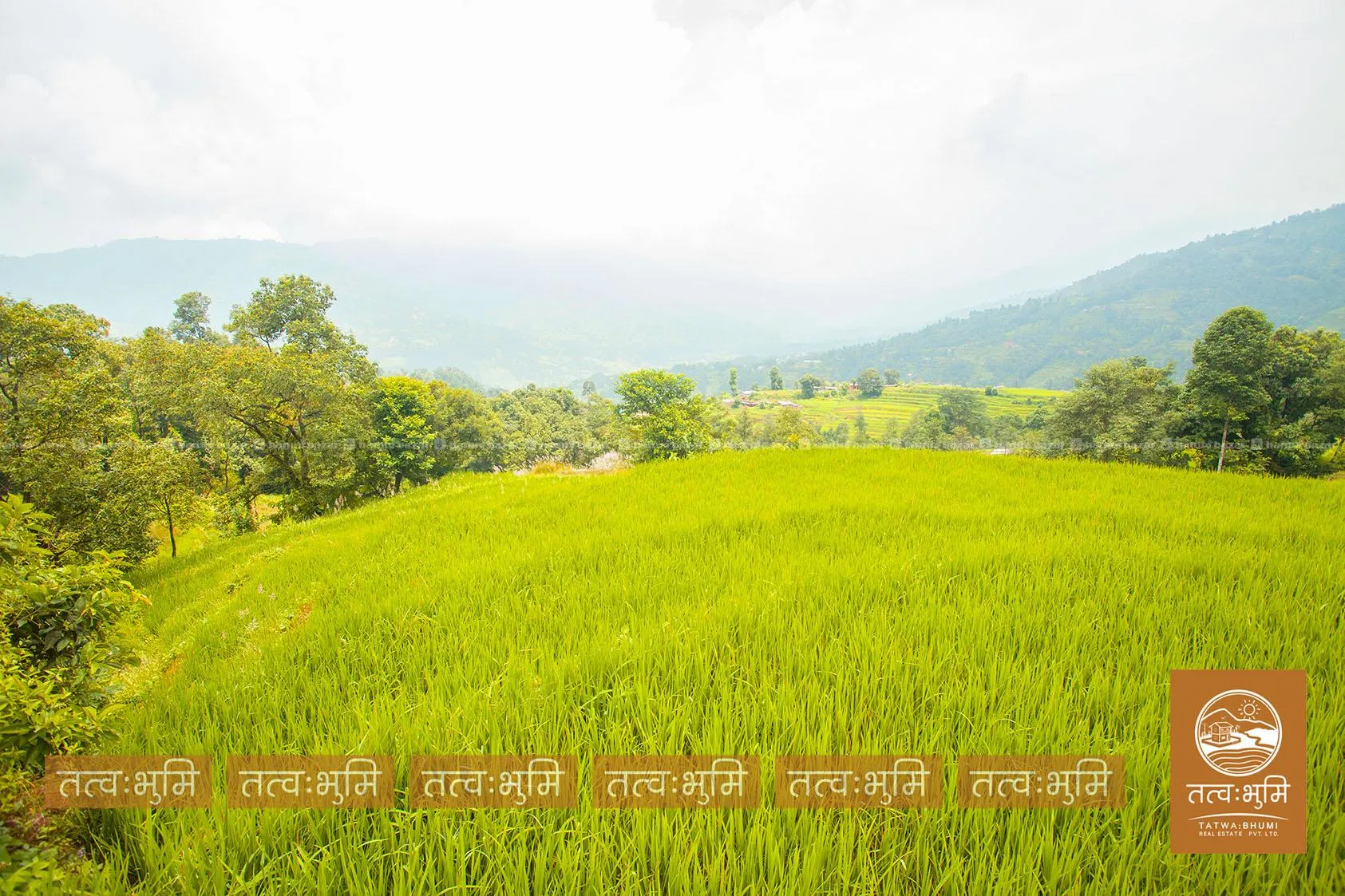 7 Ropani land for sale in Thansingh-Nuwakot. 3