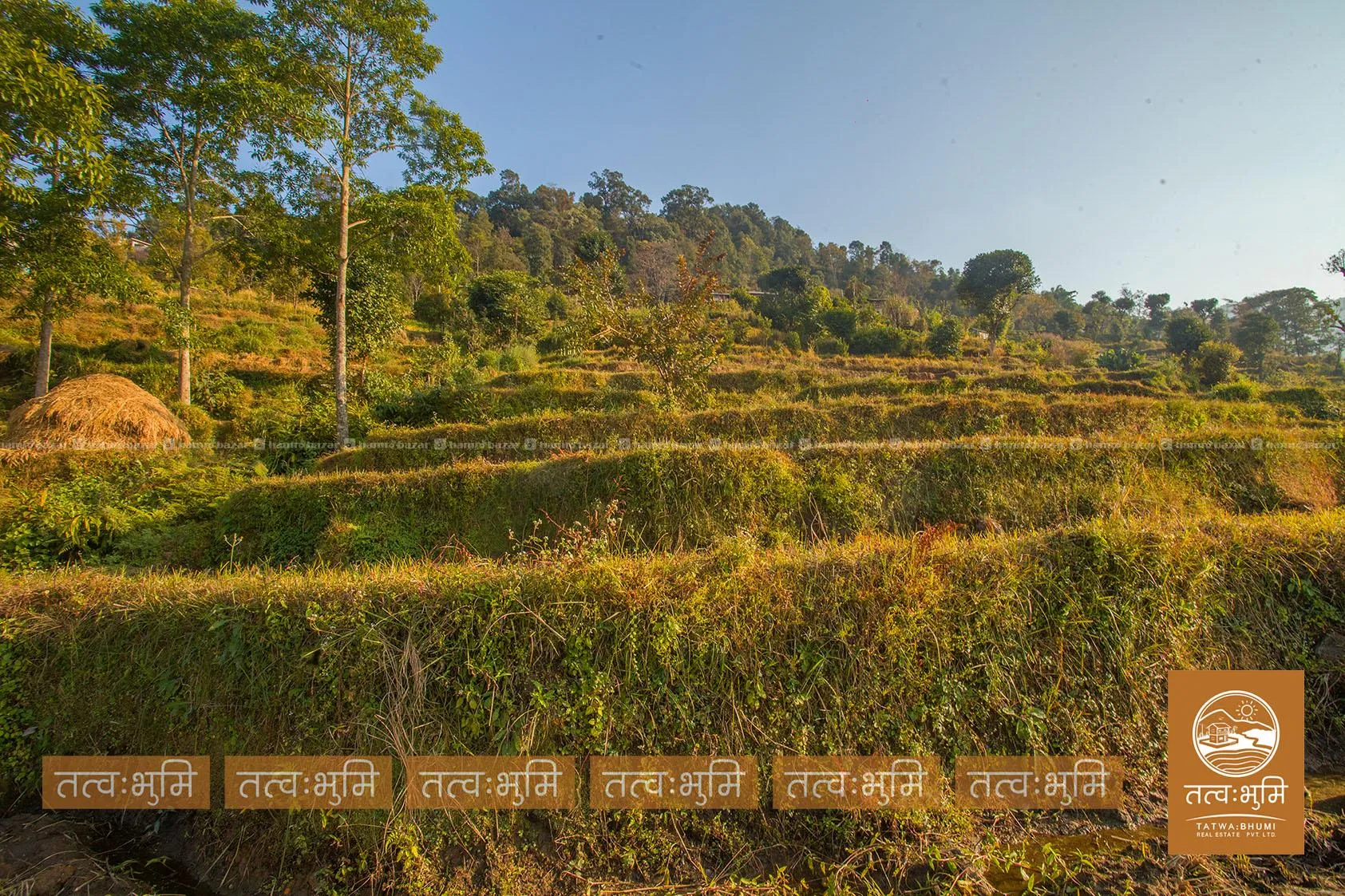 7 Ropani land for sale in Kamaregaun - Nuwakot. 6
