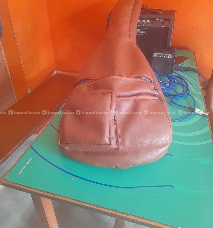 electric guitar combo 2