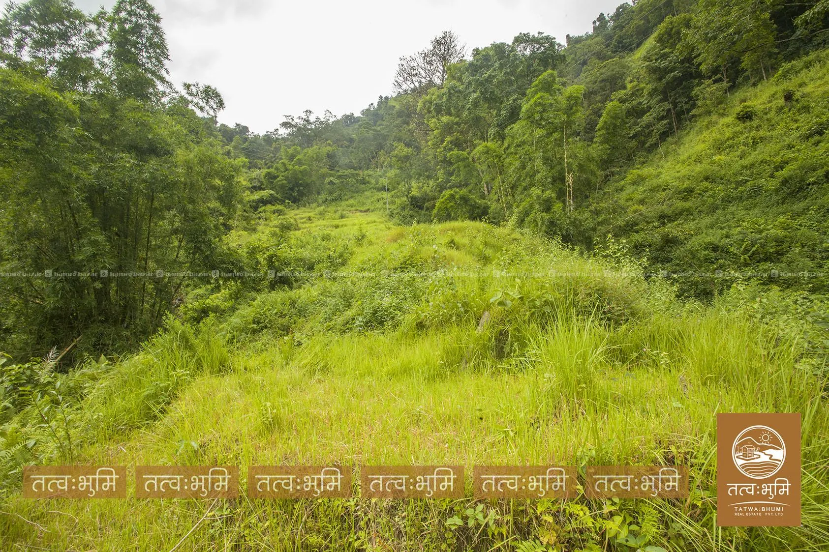 36 Ropani land for sale in Dotel Beshi- Nuwakot. 7