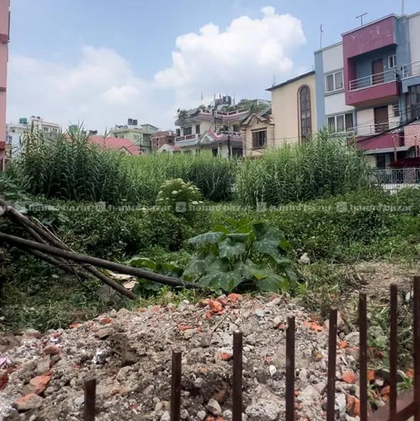 land for sale imadol lalitpur 11.5 aana 2
