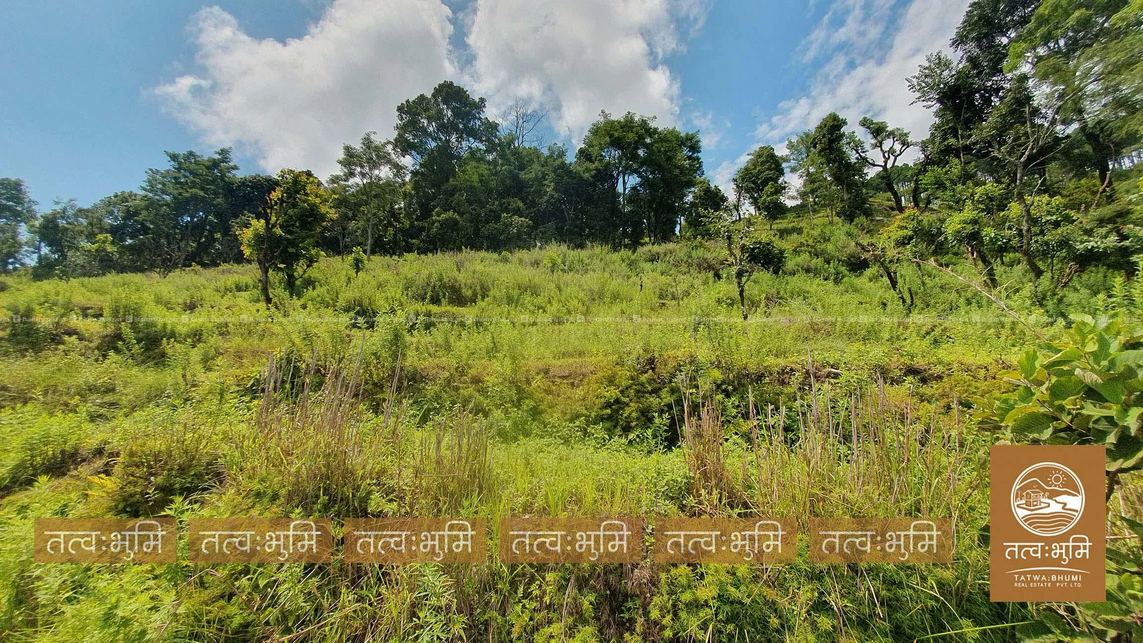 18 Ropani land for sale in Kabilash - Nuwakot. 3