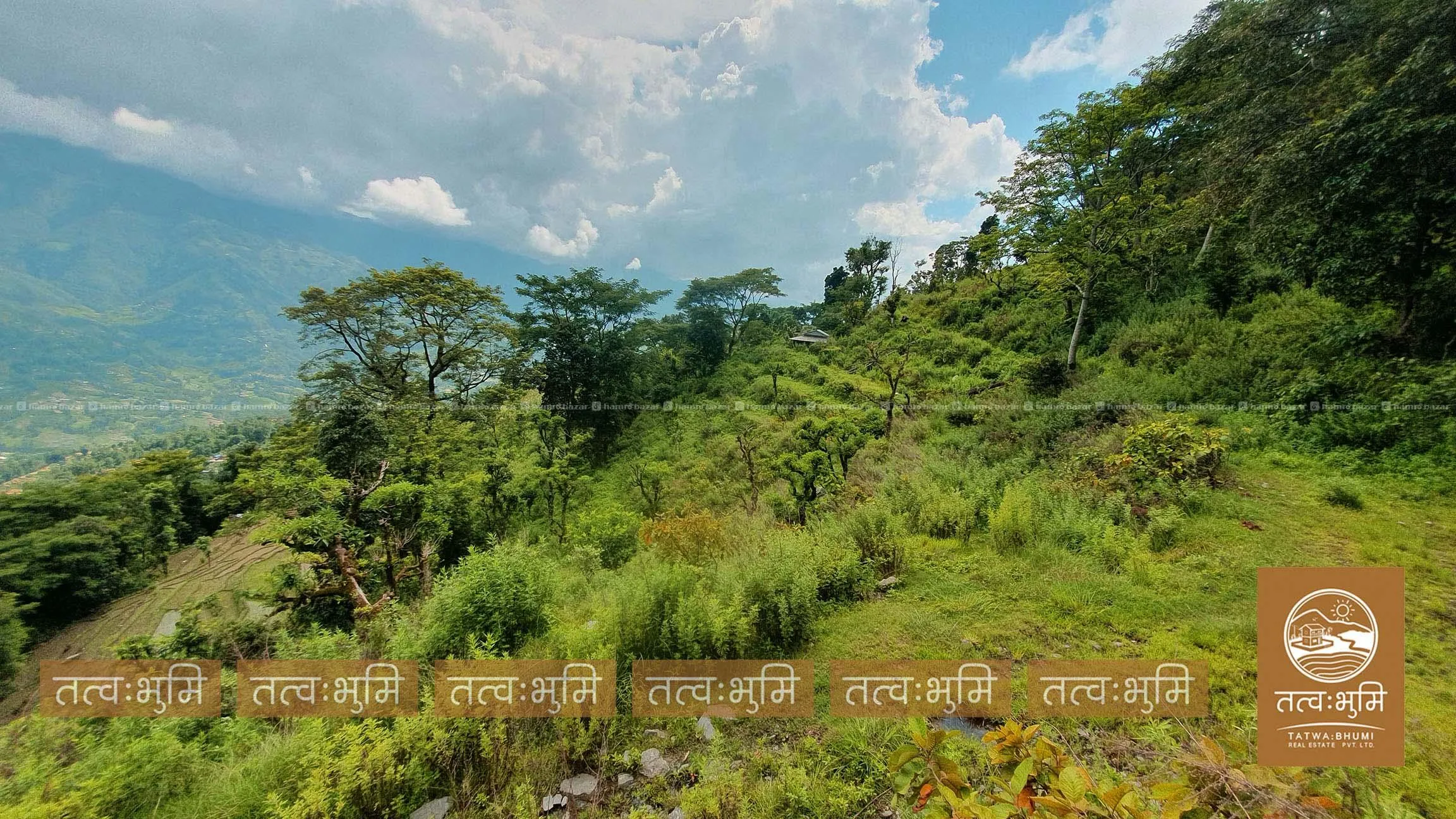 18 Ropani land for sale in Kabilash - Nuwakot. 2