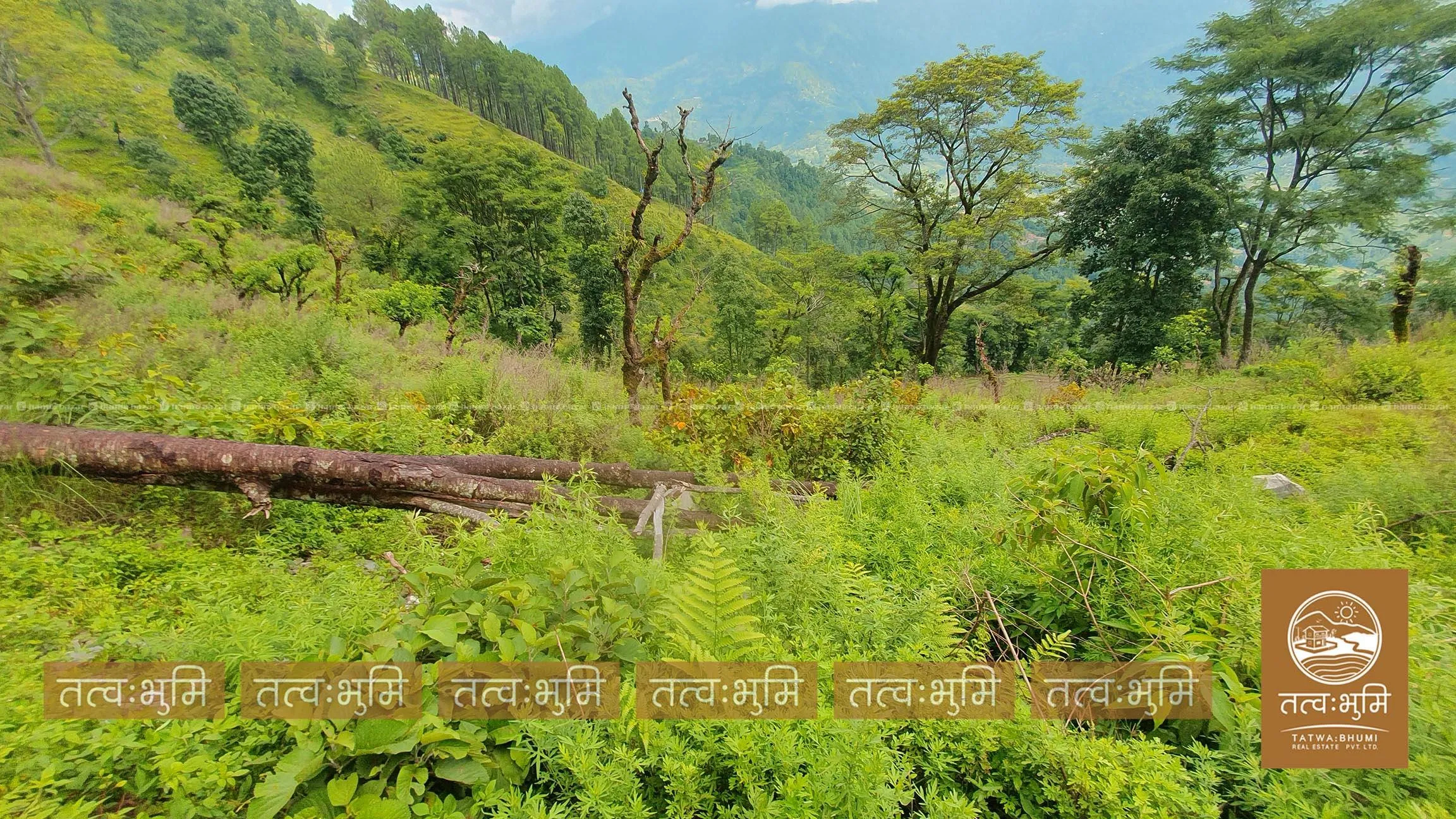 18 Ropani land for sale in Kabilash - Nuwakot. 5