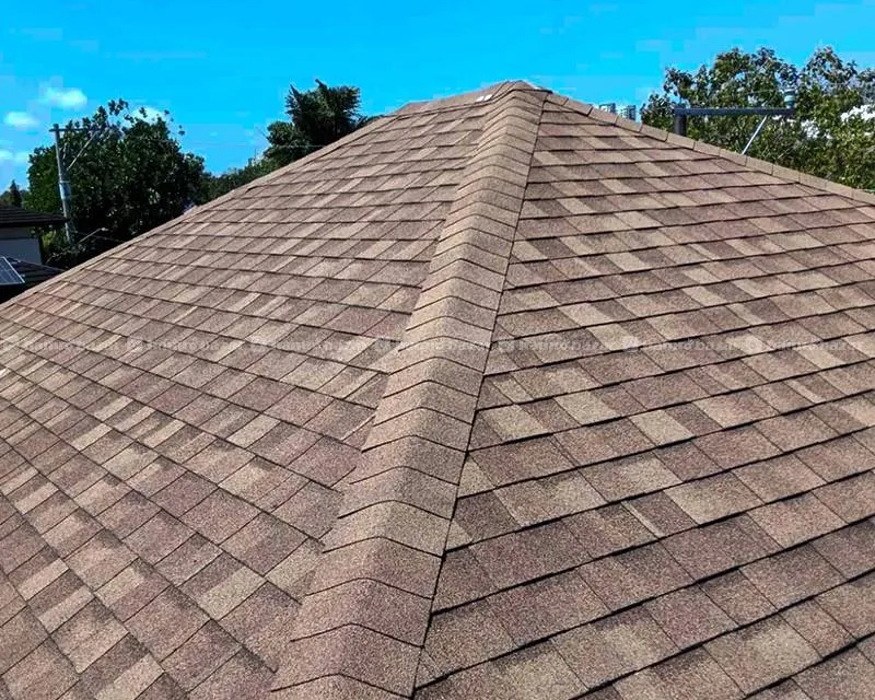 shingles roof tiles 2