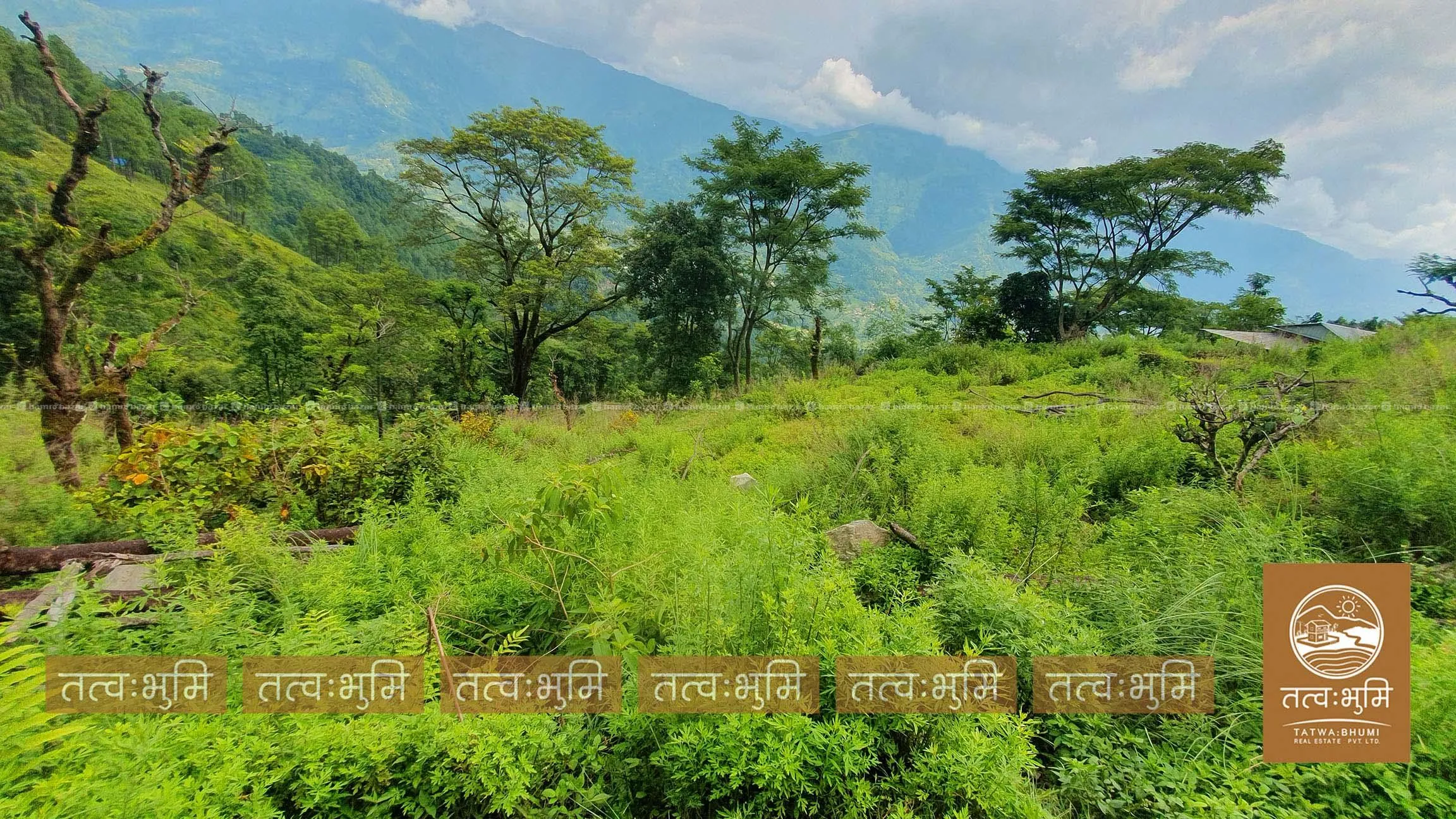 18 Ropani land for sale in Kabilash - Nuwakot. 6
