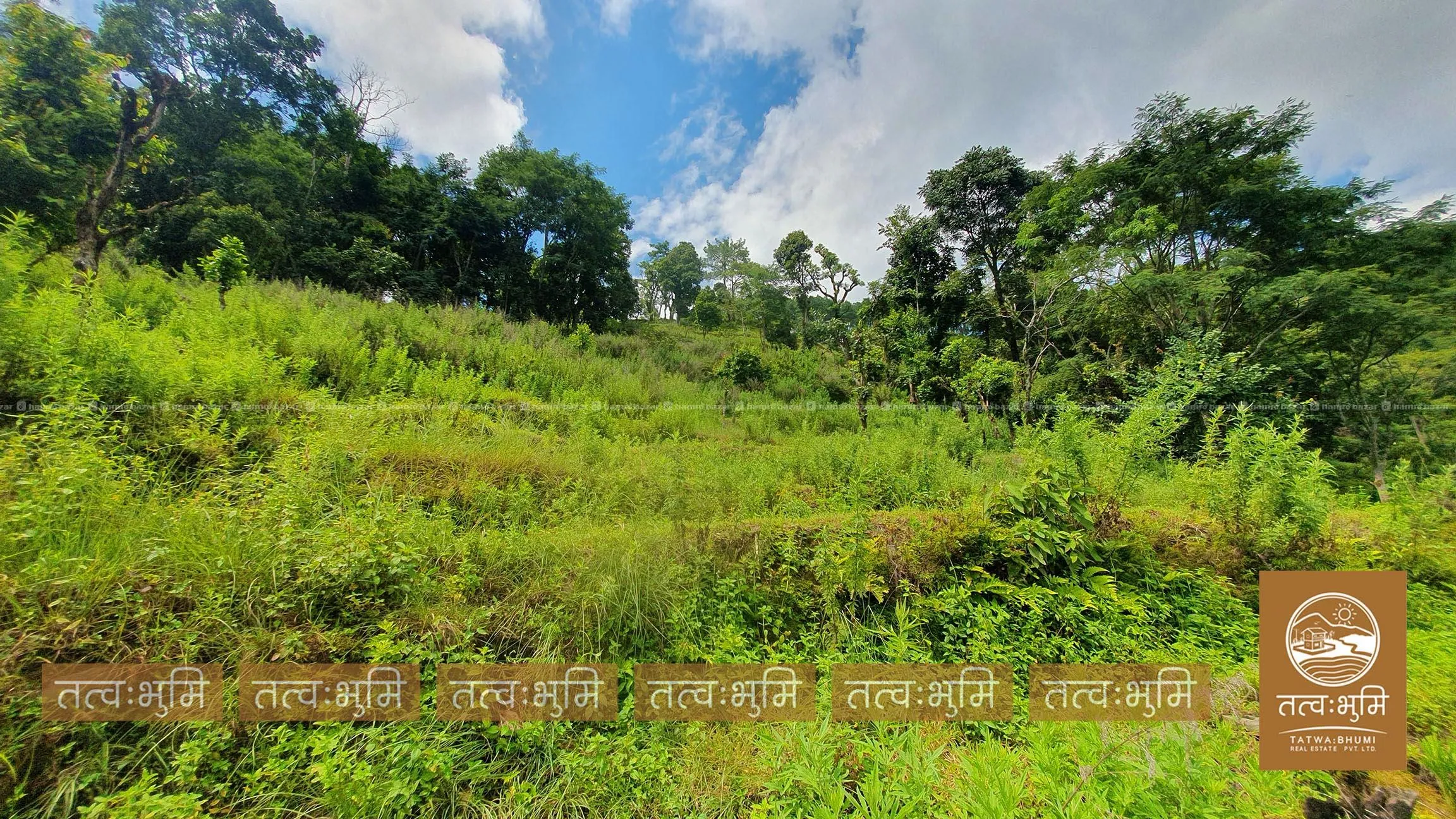 18 Ropani land for sale in Kabilash - Nuwakot. 8