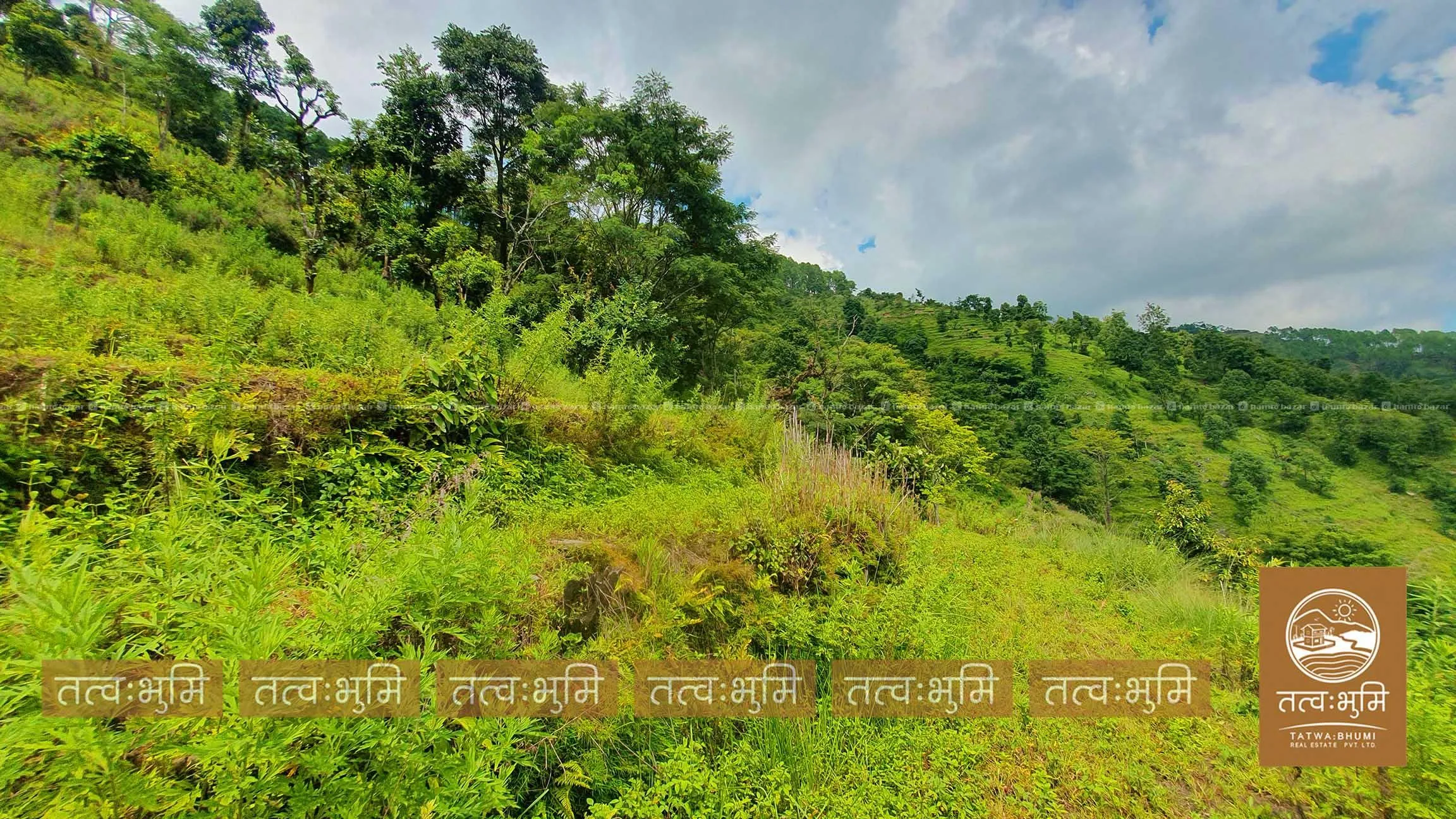 18 Ropani land for sale in Kabilash - Nuwakot. 7