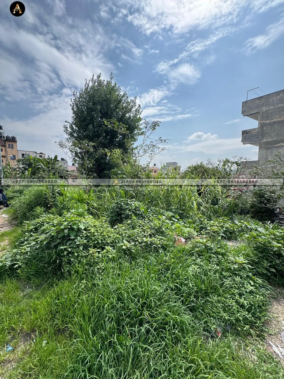 PAHELOPUL | 3 ROPANI LAND FOR RENT 3