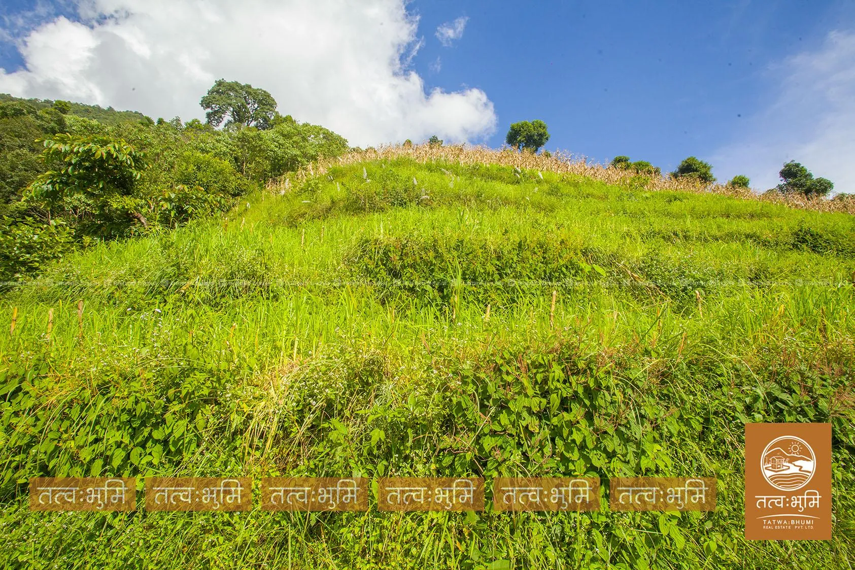 20 Ropani land for sale in Bhirakhark, - Nuwakot. 6