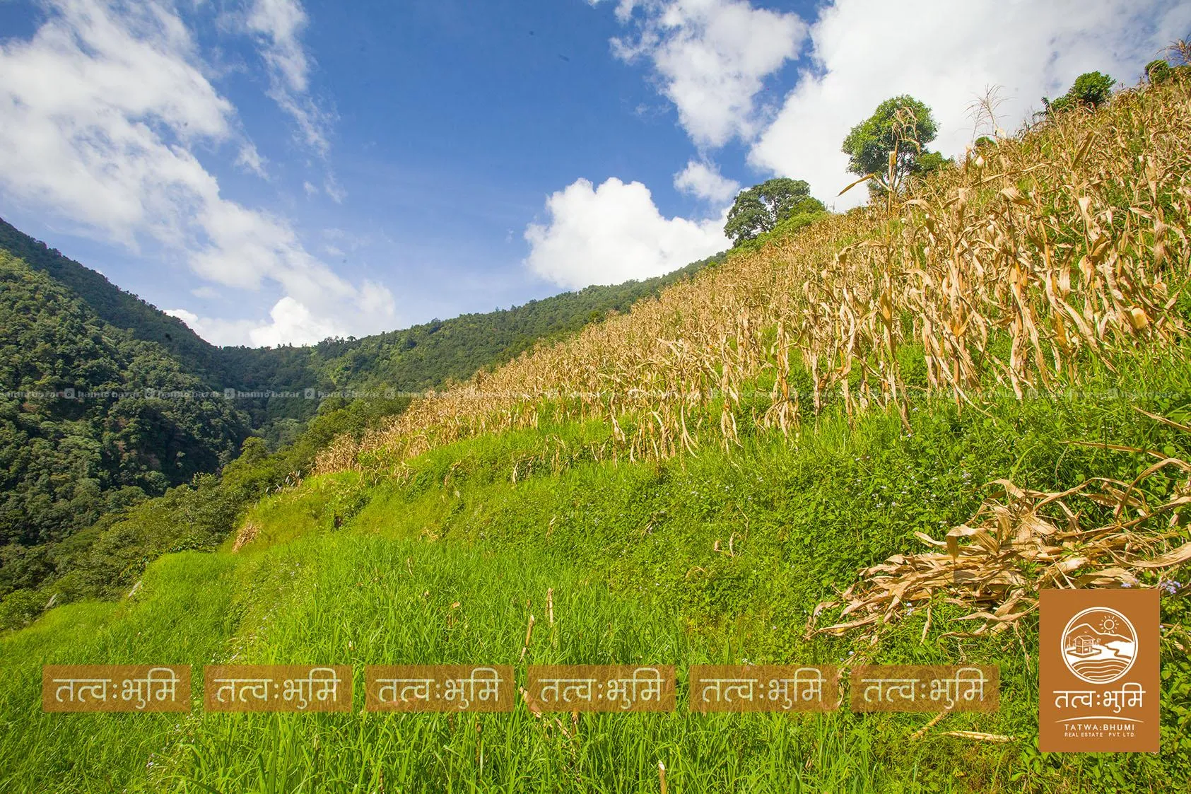 20 Ropani land for sale in Bhirakhark, - Nuwakot. 5