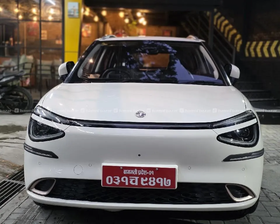 Super fresh 2025 model dongfeng nammi E3 for sale. 1