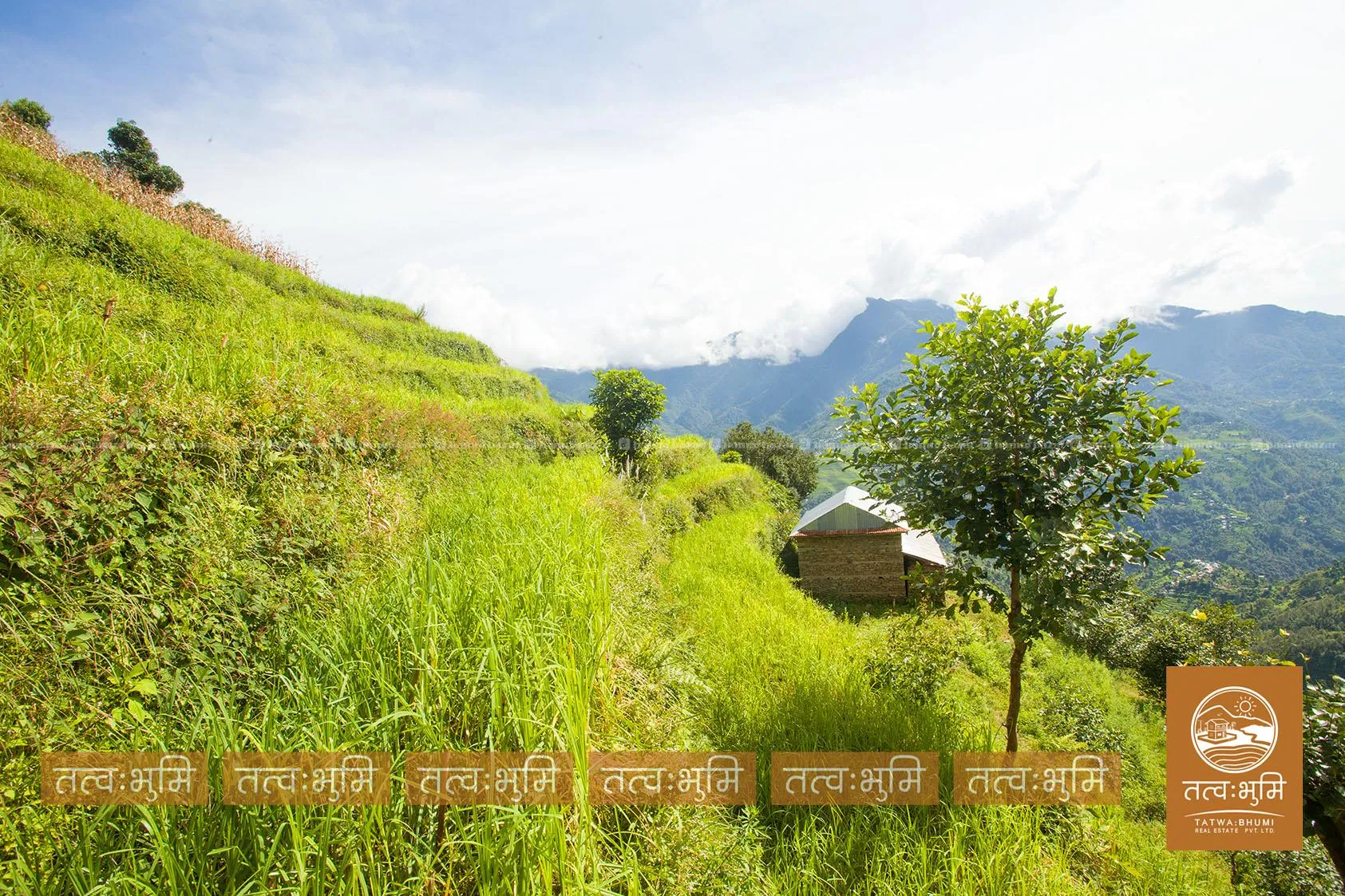 20 Ropani land for sale in Bhirakhark, - Nuwakot. 7