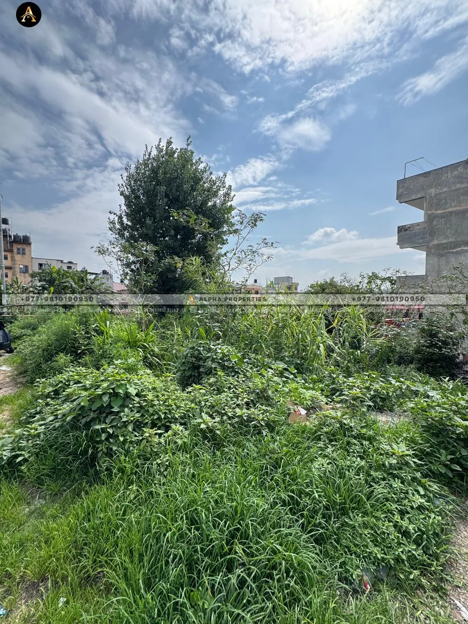 PAHELOPUL | 3 ROPANI LAND FOR RENT 2
