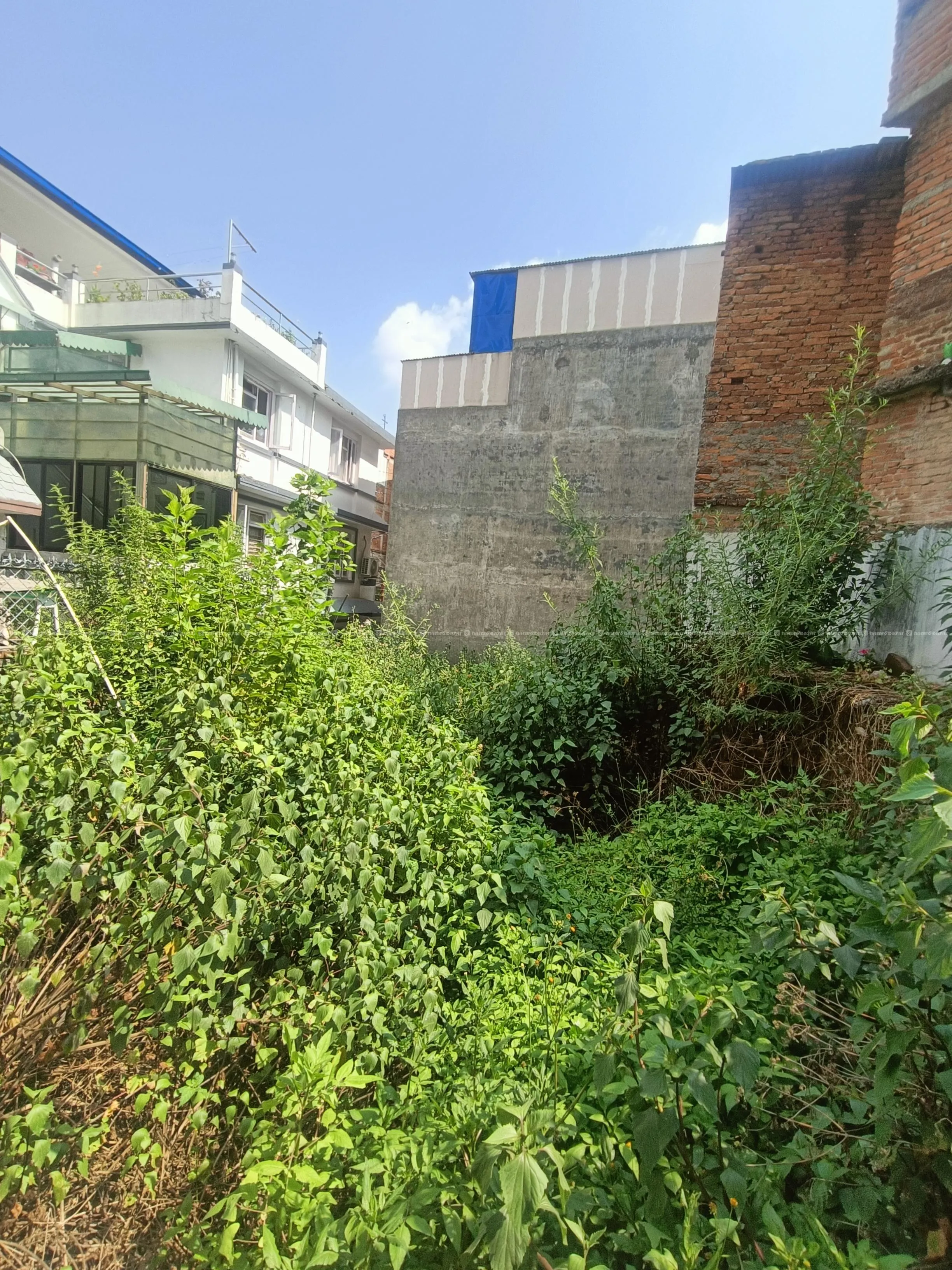 land on sale 5