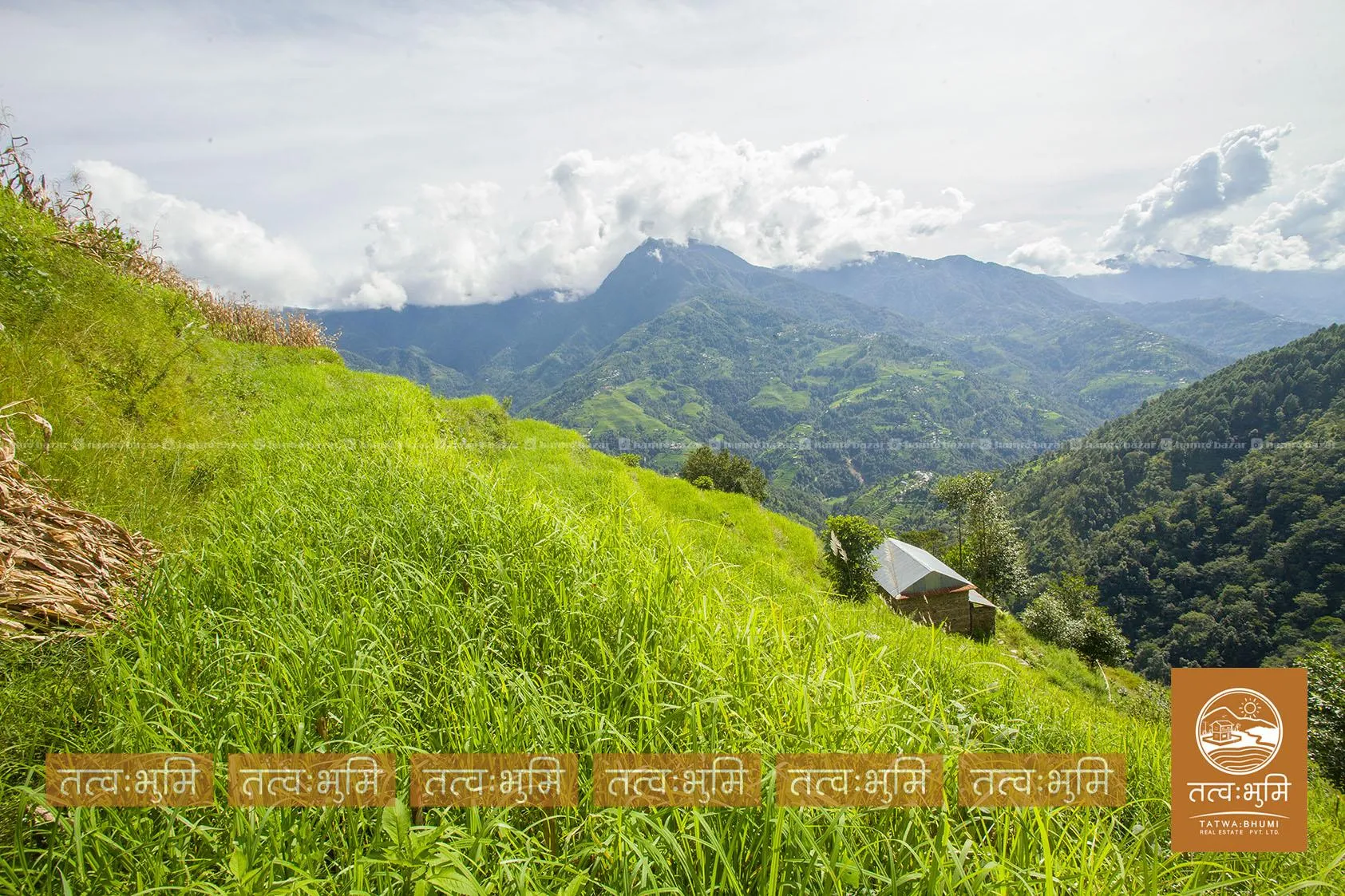20 Ropani land for sale in Bhirakhark, - Nuwakot. 3