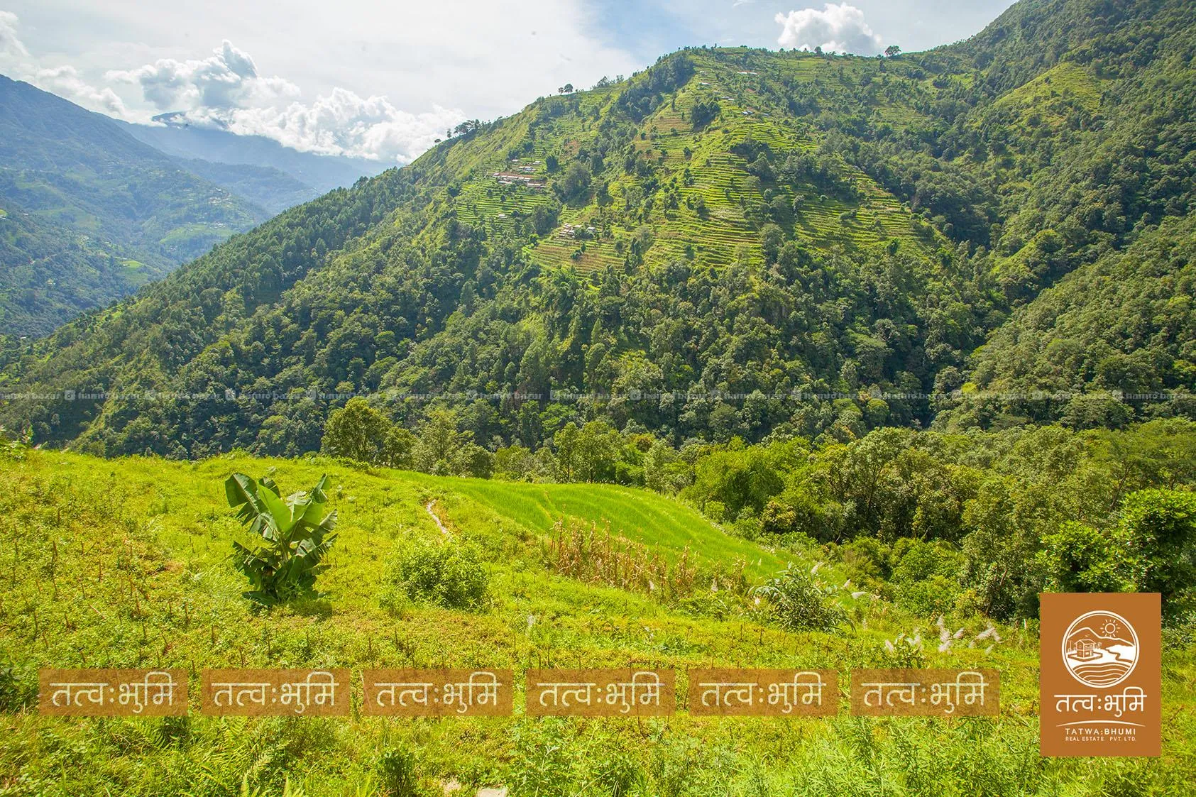 20 Ropani land for sale in Bhirakhark, - Nuwakot. 2