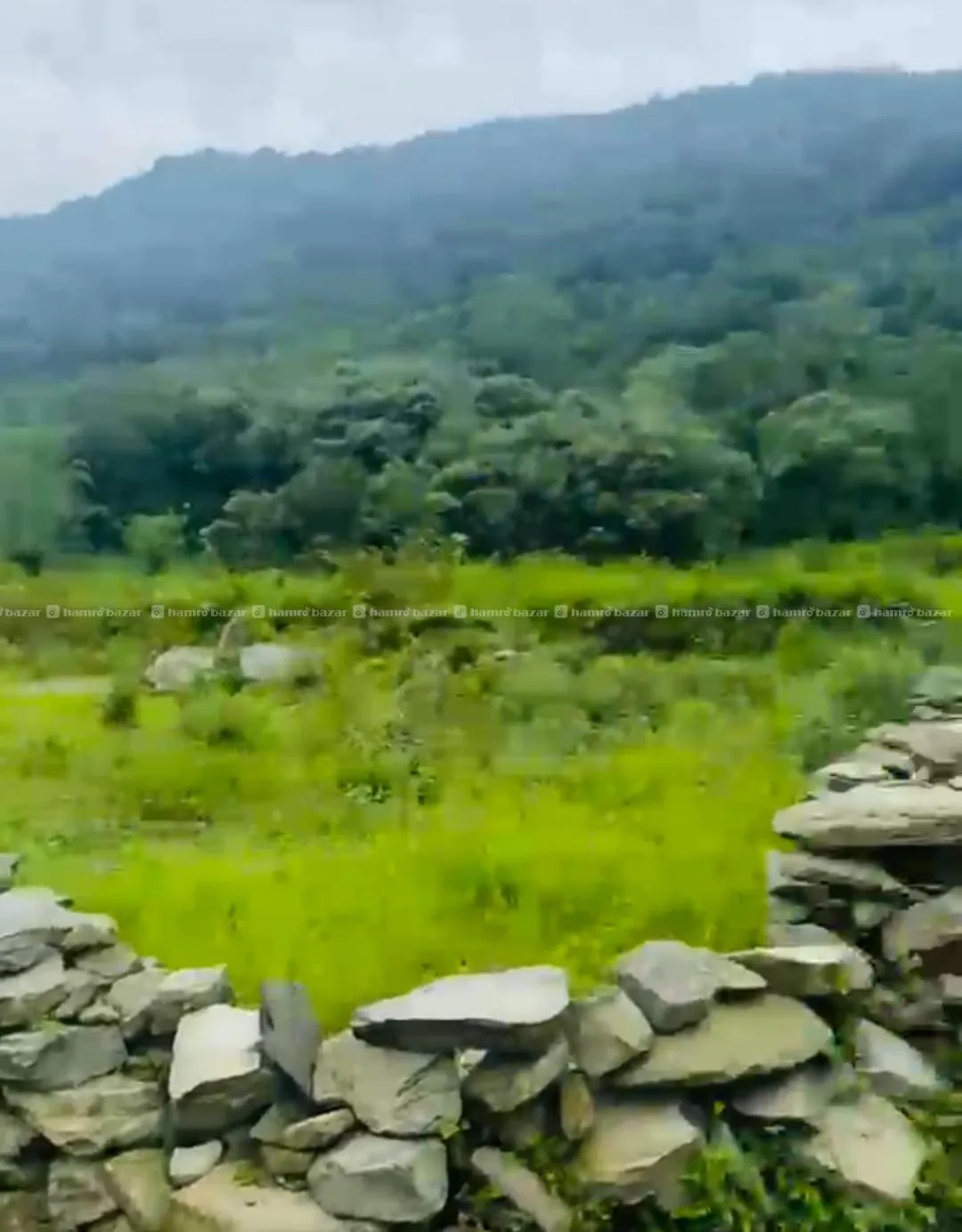 Land on sale in Hemja, Pokhara 3
