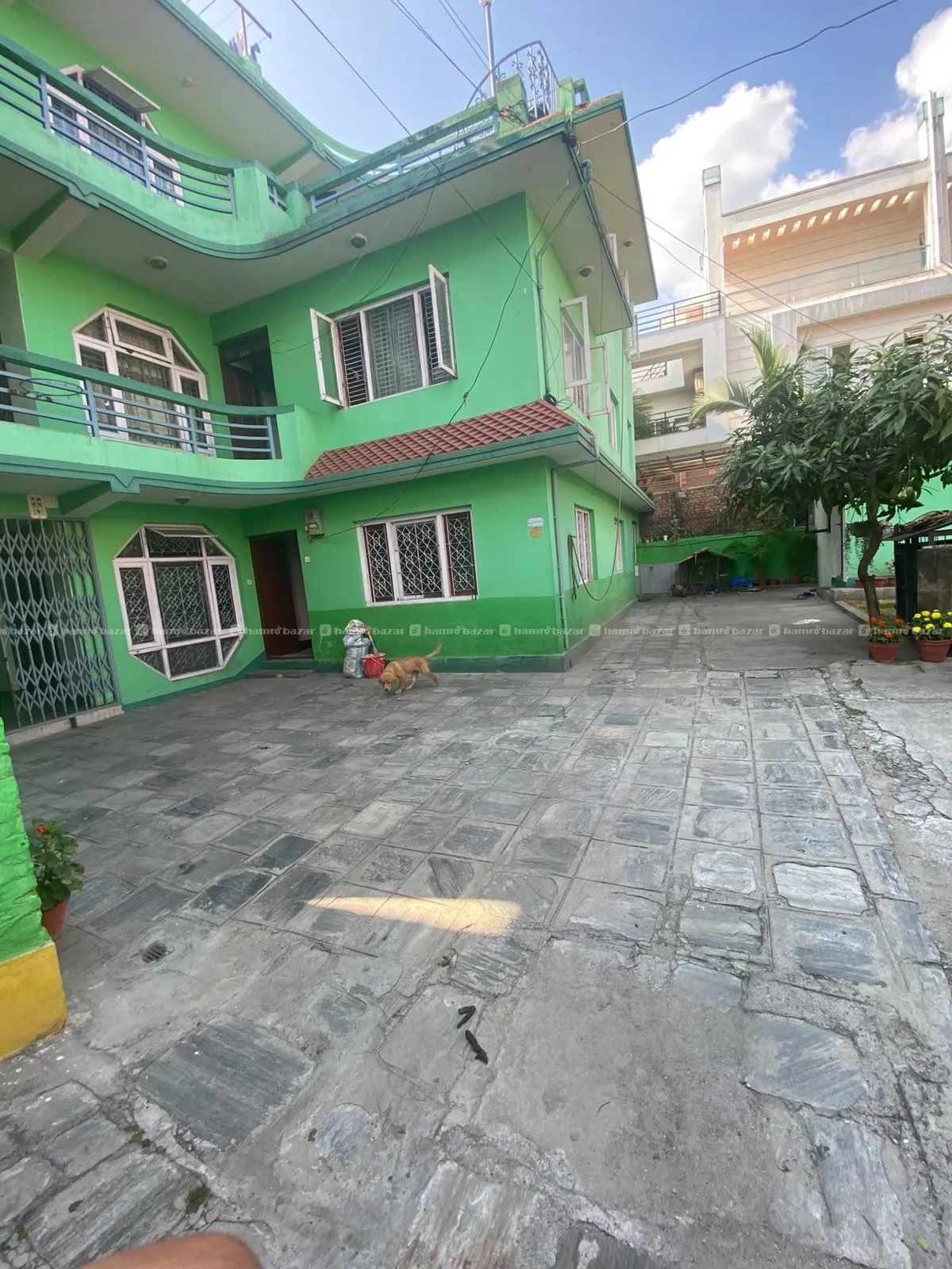 3BHK House on Rent for office in Baneshwor 5