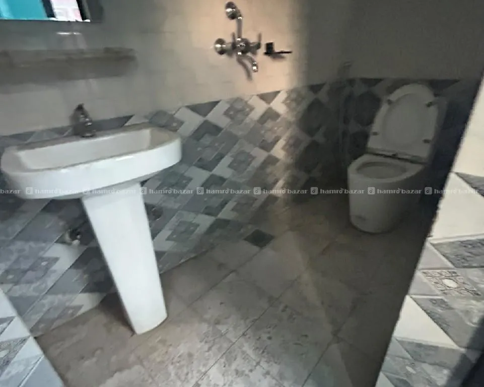 single room 2