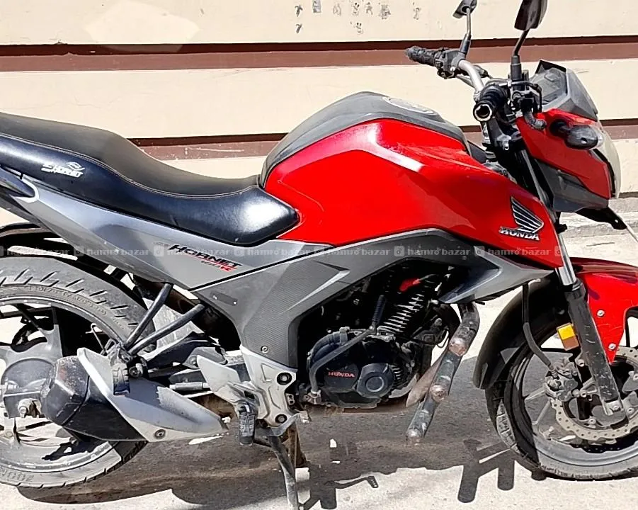 hornet on sale 2