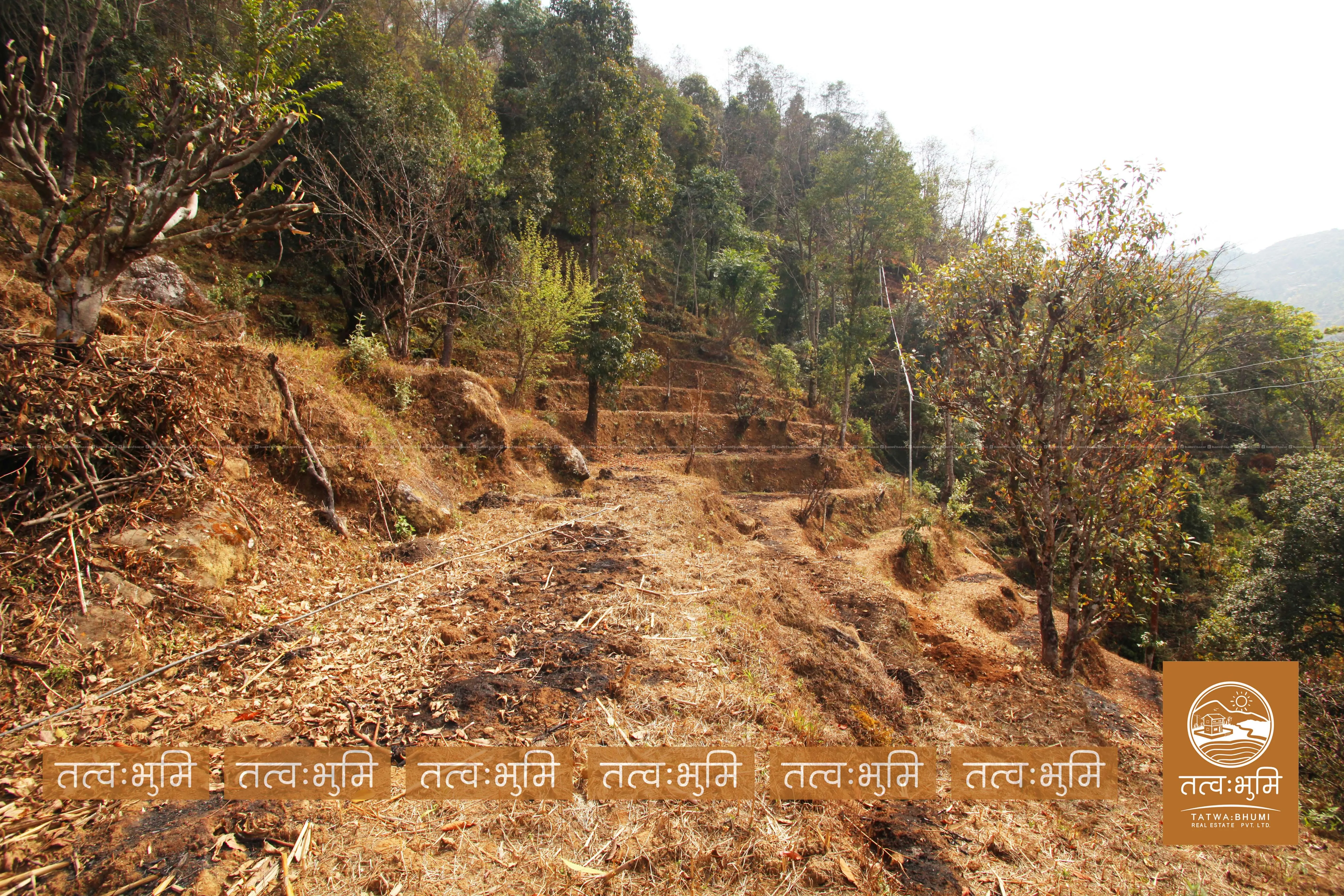26 Ropani land for sale in Ranipauwa - Nuwakot. 3
