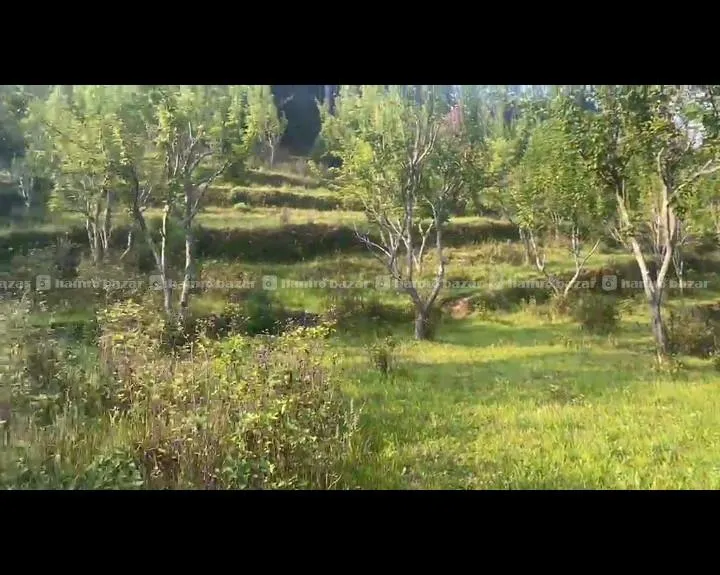 Land For Sale At Jati Pokhari 3