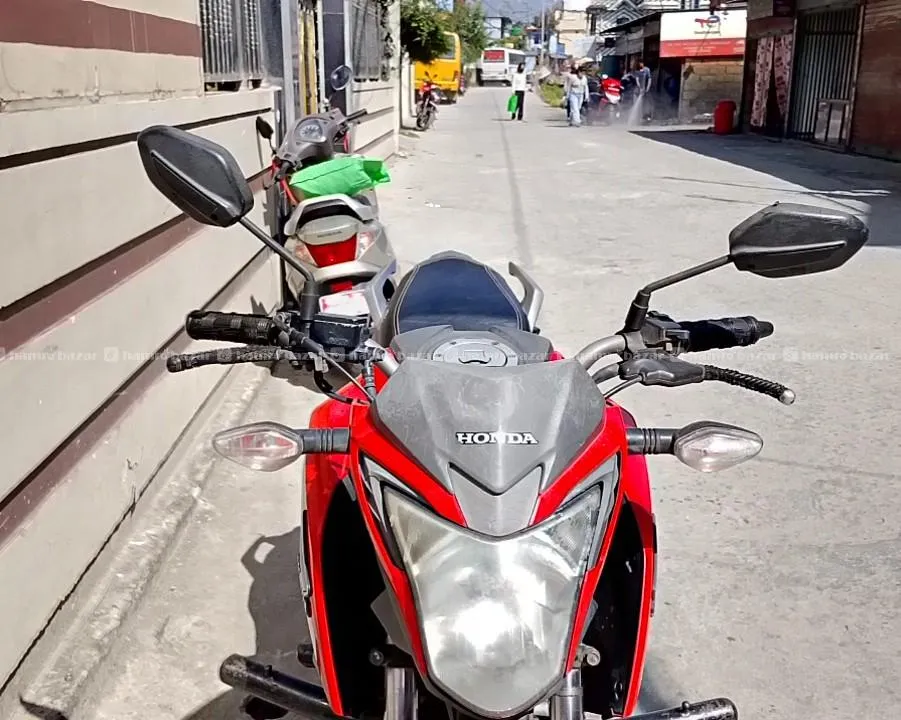 hornet on sale 3