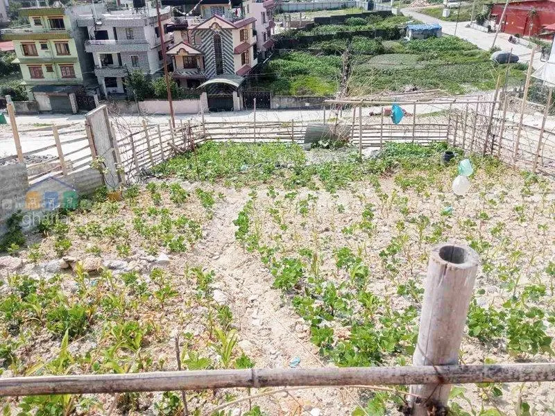 Land on Sale at Chapali Ghumti, GJBLOS 3740 4