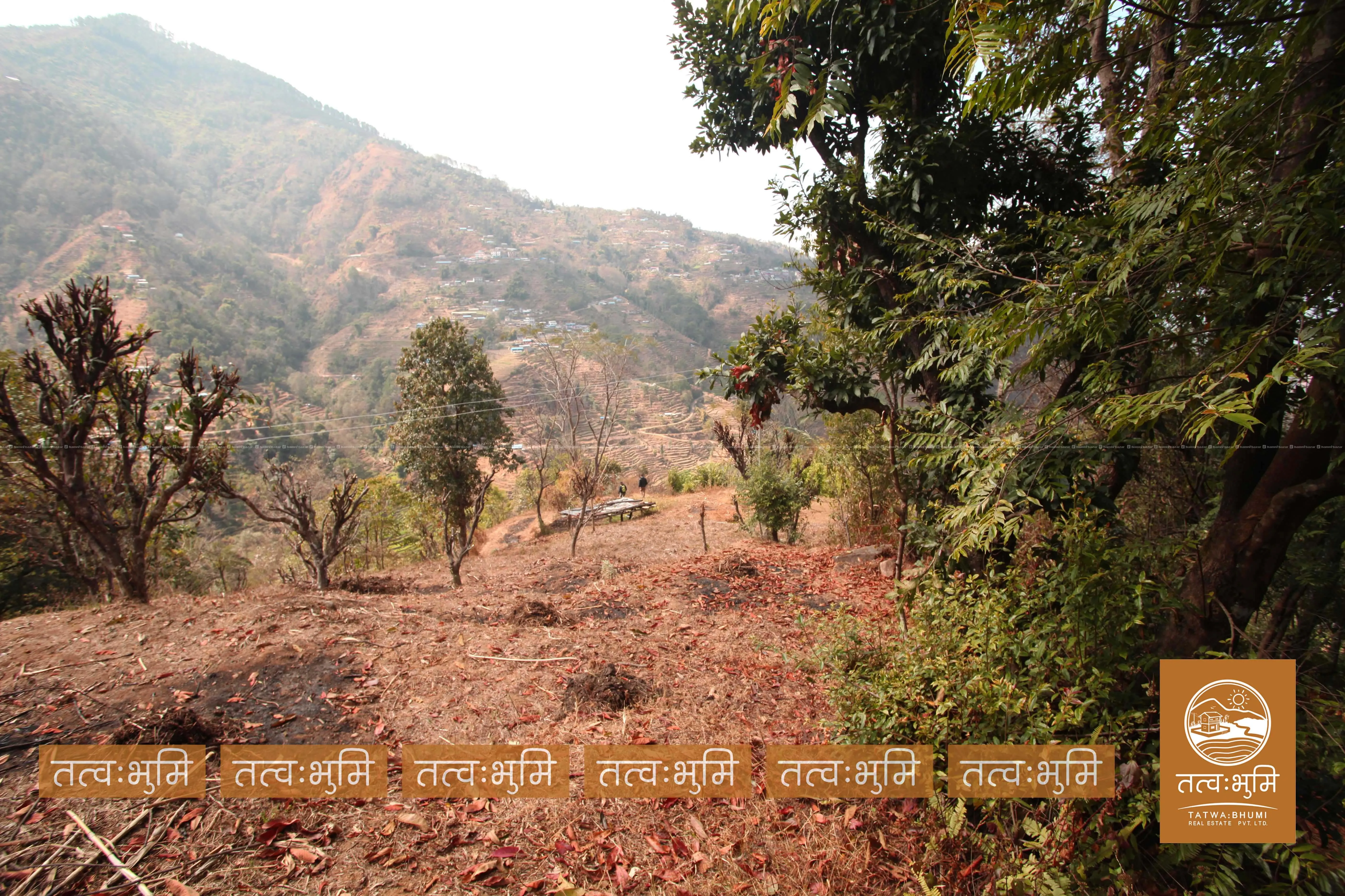 26 Ropani land for sale in Ranipauwa - Nuwakot. 7