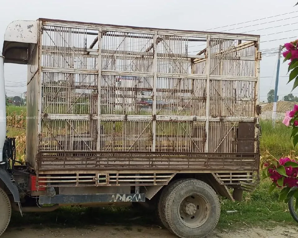 Tata 407Ex2 urgent sell ! Only 12 lakh 5