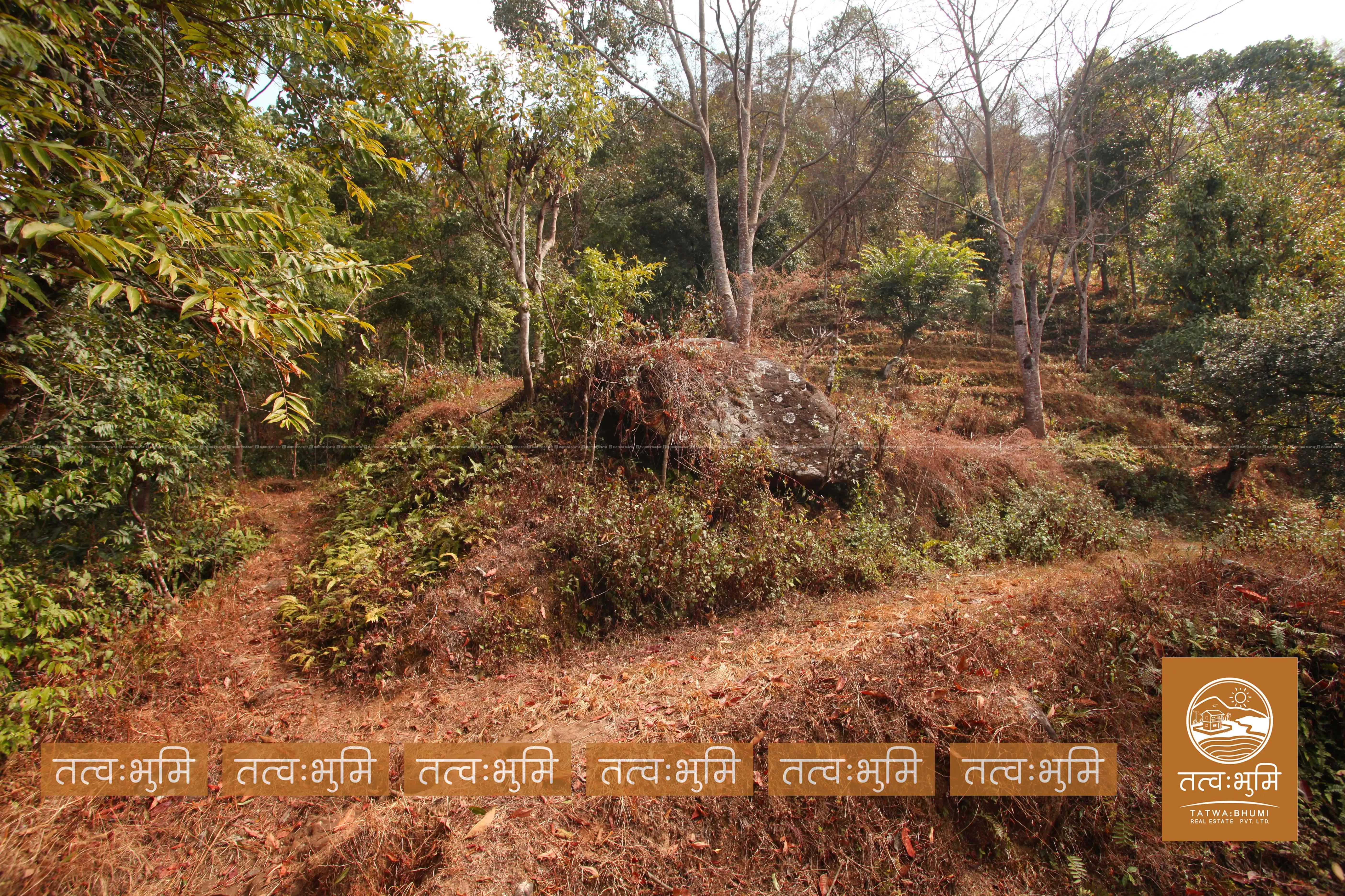 26 Ropani land for sale in Ranipauwa - Nuwakot. 5