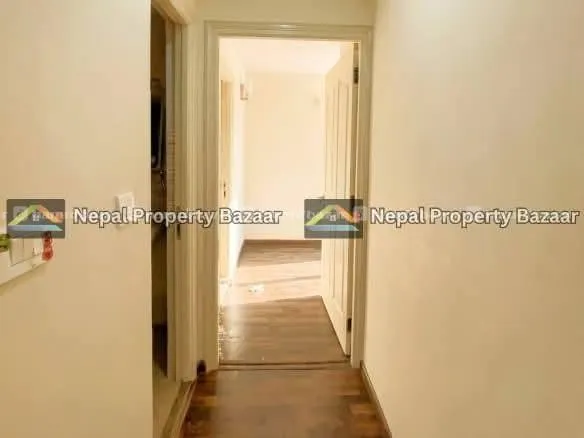 2BHK (2 Bathroom) Apartment Rent in Panipokhari 6