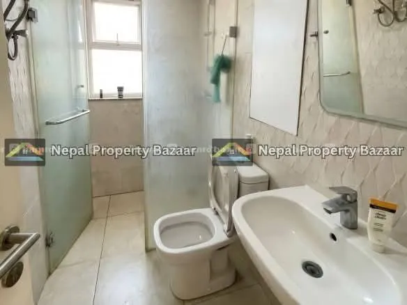 2BHK (2 Bathroom) Apartment Rent in Panipokhari 3