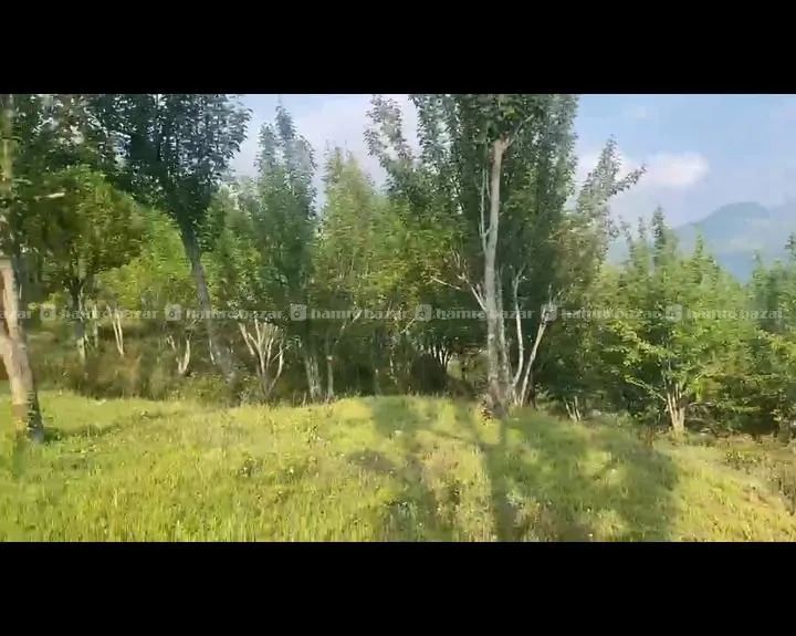 Land For Sale At Jati Pokhari 2