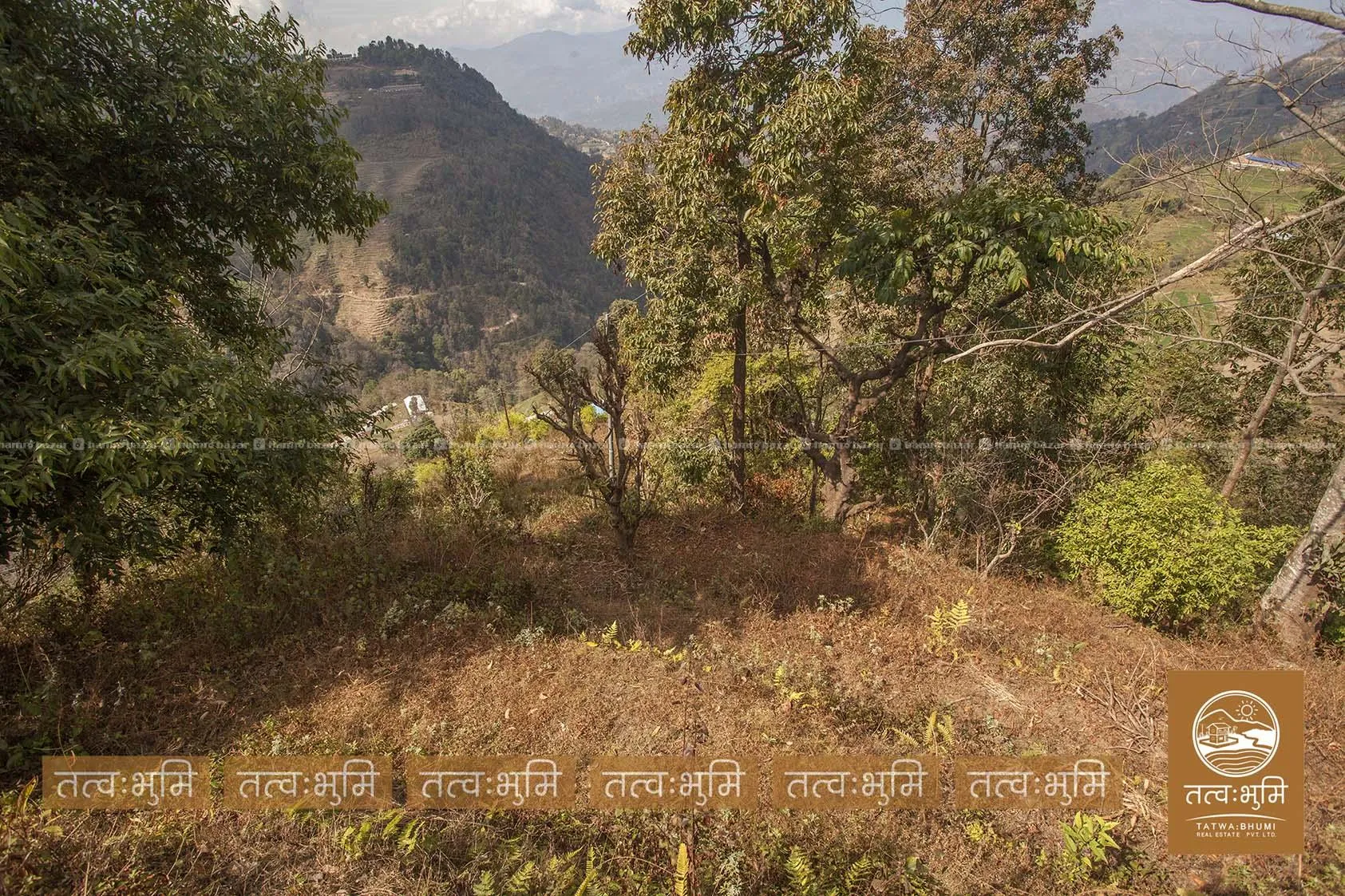 26 Ropani land for sale in Ranipauwa - Nuwakot. 4