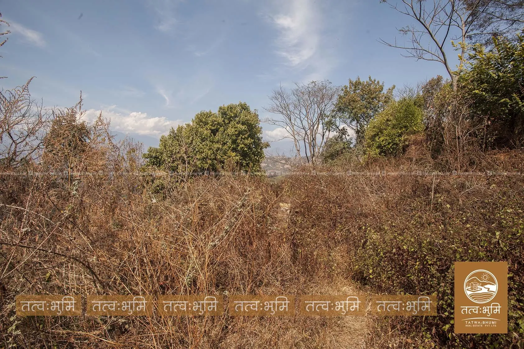 26 Ropani land for sale in Ranipauwa - Nuwakot. 8