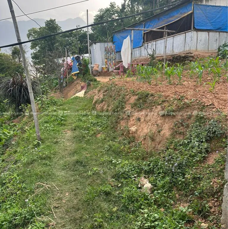 Land 3