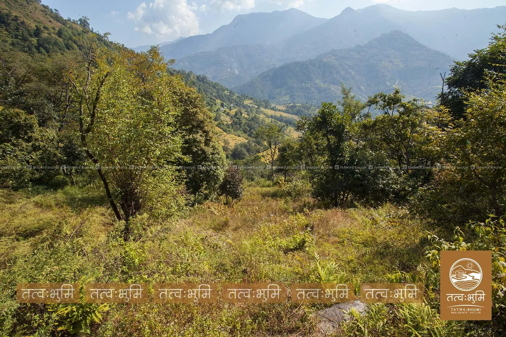 16 Ropani land for sale in Kalleri - Nuwakot. 2