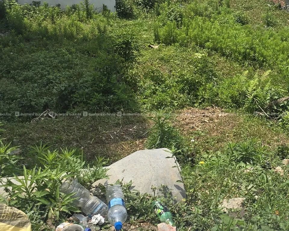 Land for sale (Dhapakhel) Lalitpur 2