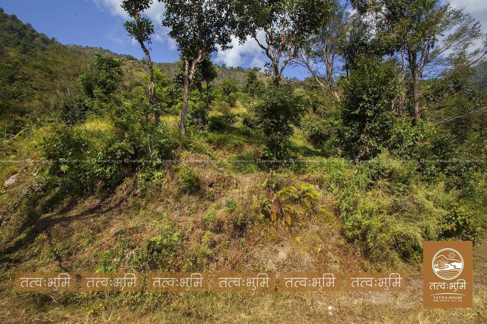 16 Ropani land for sale in Kalleri - Nuwakot. 7