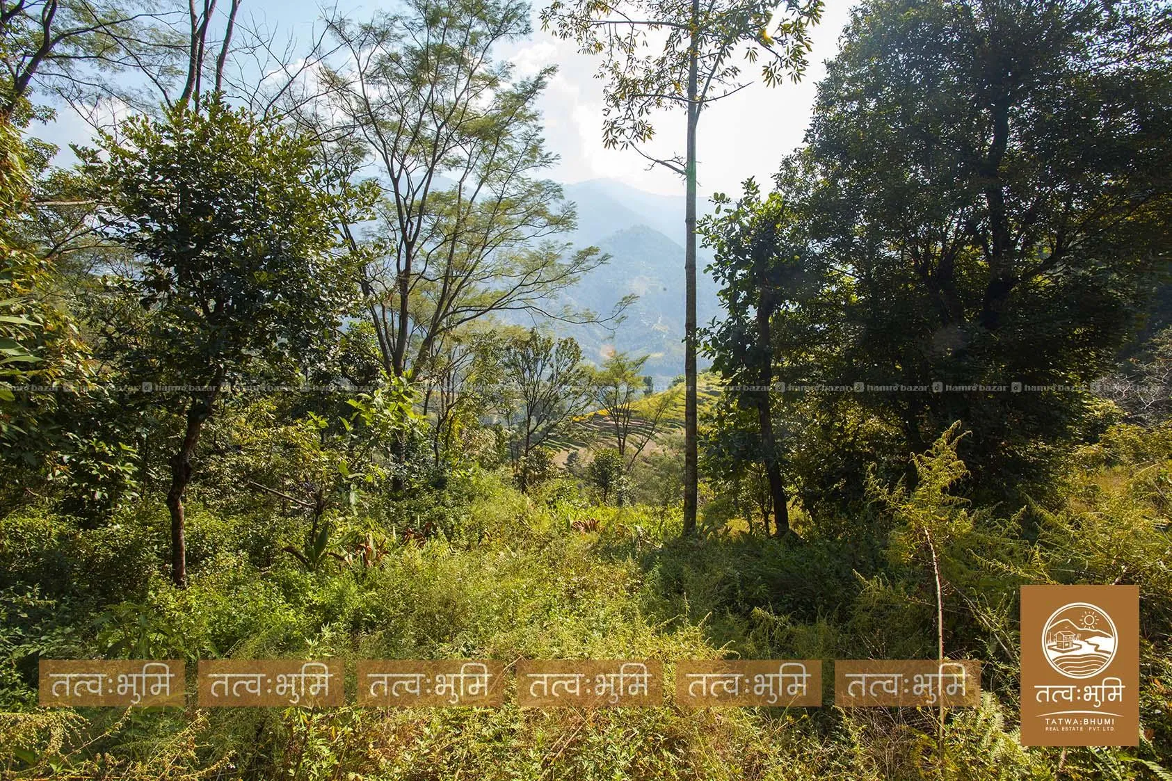 16 Ropani land for sale in Kalleri - Nuwakot. 4