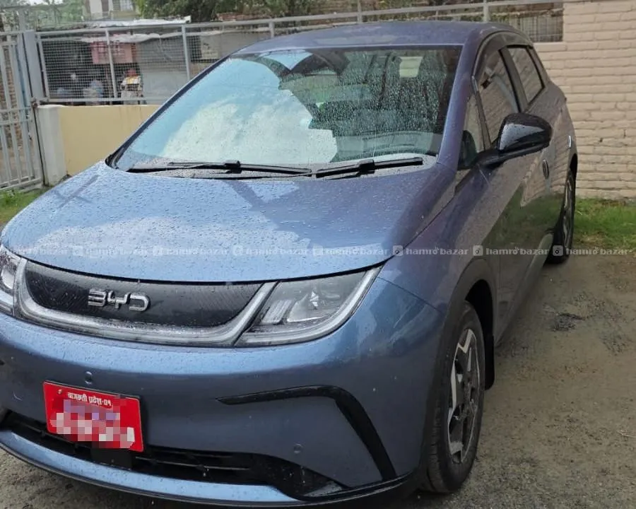 new model 2025 byd dolphin on sale 2