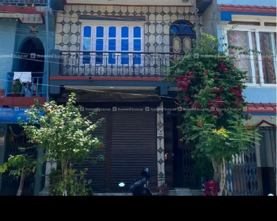 House 6