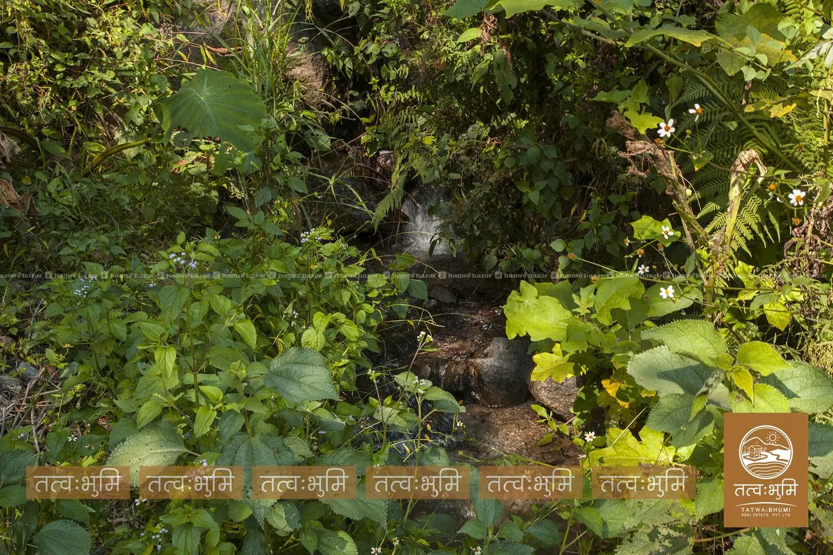 16 Ropani land for sale in Kalleri - Nuwakot. 3