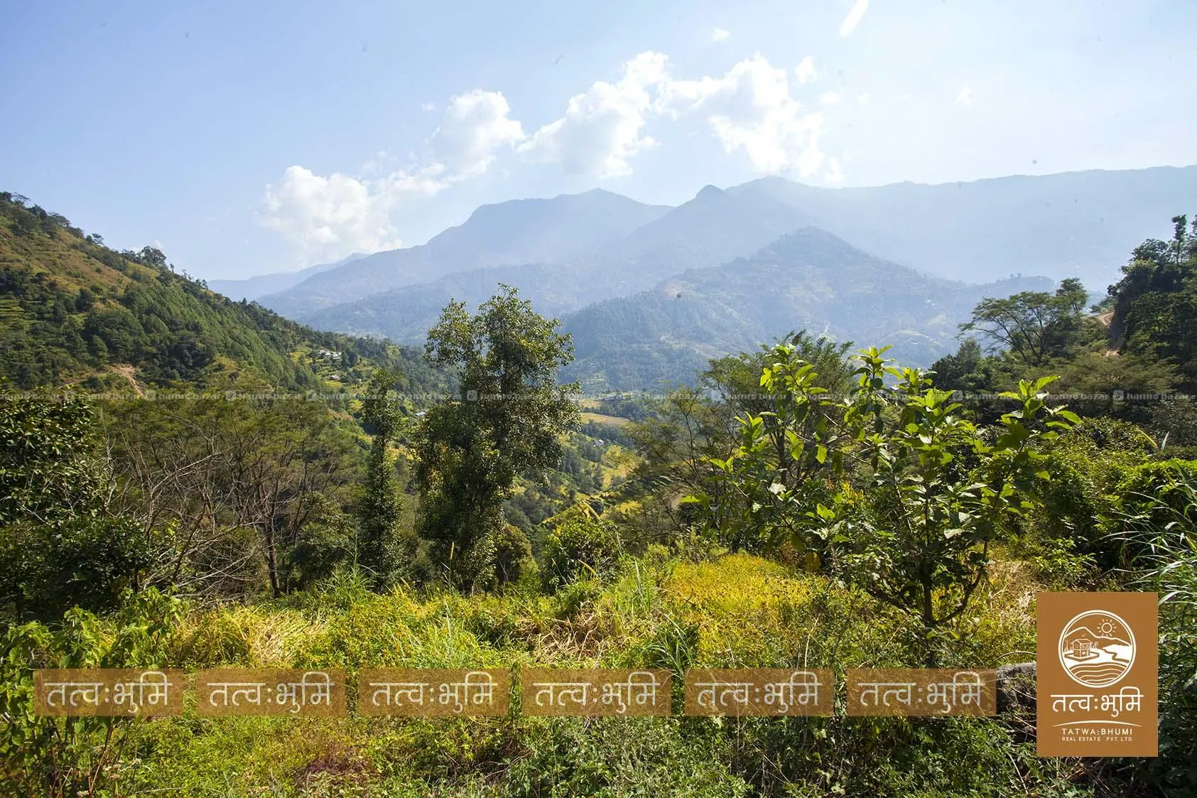 16 Ropani land for sale in Kalleri - Nuwakot. 8